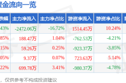 看车app安车检测（300572）6月5日主力资金净卖出247206万元