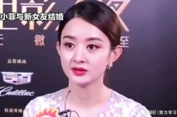娱乐八卦吃瓜赵丽颖小说免费阅读,揭秘明星背后的故事，免费畅读