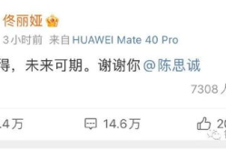 娱乐圈吃瓜汇总下载,揭秘明星幕后故事与热点事件