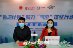 德州市人力资源和社会保障局,助力区域人才发展，构建和谐劳动关系