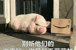 娱乐吃瓜酱猪猪视频,娱乐吃瓜酱带你领略趣味横生的猪猪世界