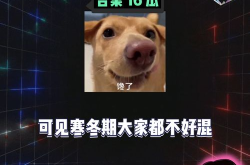 娱乐八卦吃瓜八卦,明星们的幕后故事与八卦风云