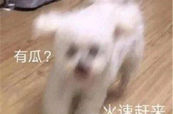 娱乐圈吃瓜聊天记录图片,揭秘明星私下真实一面